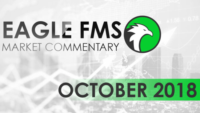 eagle fms commentaryOCT